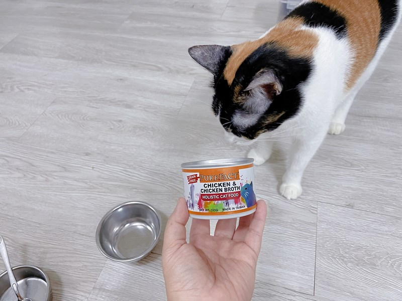 女人知己試用大隊,口碑行銷,部落客行銷,PURRFACT 波菲特貓用主食罐,主食罐,PURRFACT波菲特,貓主食罐,貓罐,PURRFACT波菲特貓用主食罐,魚肉蔓越莓主食罐,鮮嫩雞主食罐,鹿肉雞肉主食罐,牛肉鵪鶉貓主食罐,干貝蠶蛹配方,鱷魚肉白木耳配方,雞肉魚肉配方,安心鶉配方,評價,體驗,適口性佳,心得,成貓適用,高齡貓適用,質地是慕絲狀